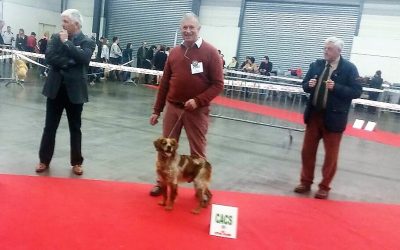 Angers “Speciale” March 2017