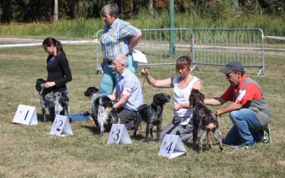 Patouche Nadia – Nationale D’Elevage 2018
